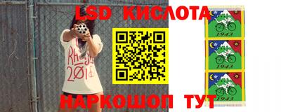 спиды Донской