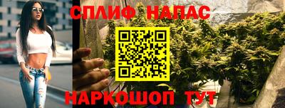 спиды Донской